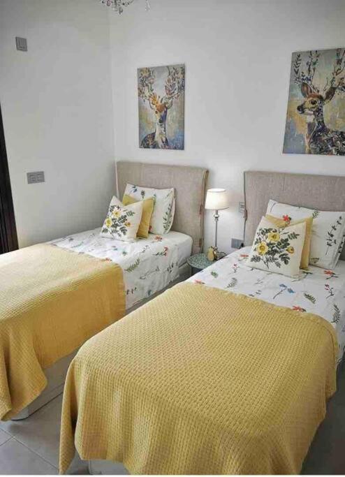 Bahia Homes Torrevieja Extérieur photo
